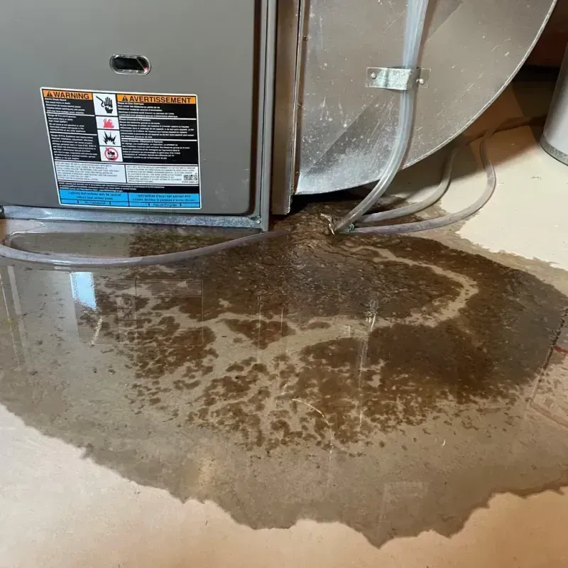 Appliance Leak Cleanup in Hampton Bays, NY